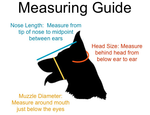 Dog Measuring Guide