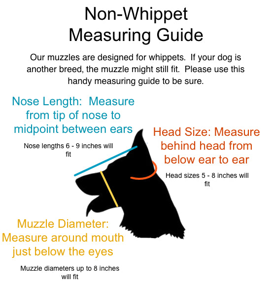 Whippet Muzzle Measuring Guide