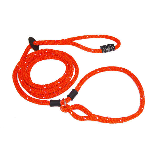 HarnessLead Integrated Harness/Leash | Hound Safe