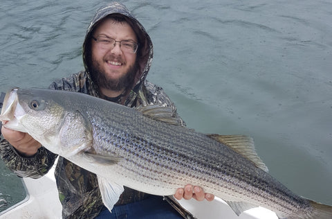 NB Saint John Reversing Falls Saint John River Kennebecasis Fredericton Canada Cruise Ship Striped Bass Striper