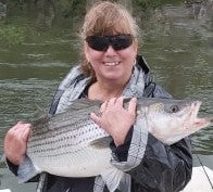 Eastcoastangler East Coast Angler Striped Bass Striper NB Saint John Canada Cruise Reversing Falls Saint John River Kennebecasis Bay of Fundy Sturgeon Bass Atlantic Canada Maritimes Fishing Charter Guide Charter Boat