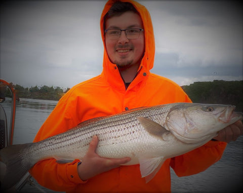 Eastcoastangler East Coast Angler Striped Bass Striper NB Saint John Canada Cruise Reversing Falls Saint John River Kennebecasis Bay of Fundy Sturgeon Bass Atlantic Canada Maritimes Fishing Charter Guide Charter Boat