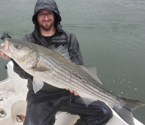 Eastcoastangler East Coast Angler Striped Bass Striper NB Saint John Canada Cruise Reversing Falls Saint John River Kennebecasis Bay of Fundy Sturgeon Bass Atlantic Canada Maritimes Fishing Charter Guide Charter Boat