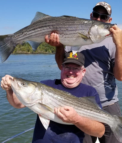 Eastcoastangler East Coast Angler Striped Bass Striper NB Saint John Canada Cruise Reversing Falls Saint John River Kennebecasis Bay of Fundy Sturgeon Bass Atlantic Canada Maritimes Fishing Charter Guide Charter Boat