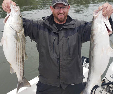 striper striped bass new brunswick canada saint john reversing falls cruise ship kennebecasis 