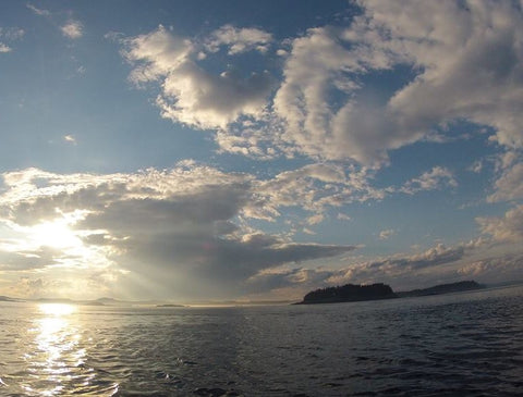 Acadian Redfish Bay of Fundy Saint John New Brunswick St George St Andrews Cruise Saltwater Fishing Guide Charter