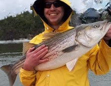 Eastcoastangler East Coast Angler Striped Bass Striper NB Saint John Canada Cruise Reversing Falls Saint John River Kennebecasis Bay of Fundy Sturgeon Bass Atlantic Canada Maritimes Fishing Charter Guide Charter Boat