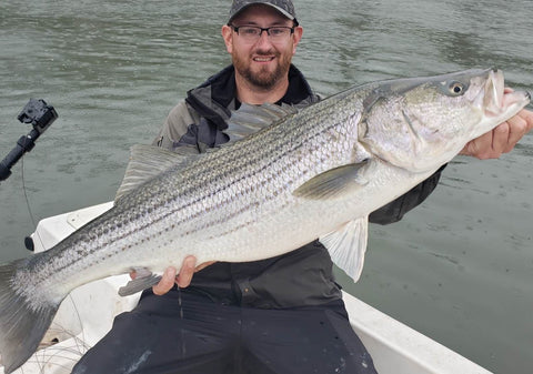 Eastcoastangler East Coast Angler Striped Bass Striper NB Saint John Canada Cruise Reversing Falls Saint John River Kennebecasis Bay of Fundy Sturgeon Bass Atlantic Canada Maritimes Fishing Charter Guide Charter Boat