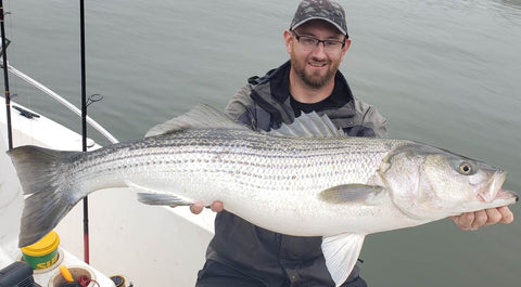 Eastcoastangler East Coast Angler Striped Bass Striper NB Saint John Canada Cruise Reversing Falls Saint John River Kennebecasis Bay of Fundy Sturgeon Bass Atlantic Canada Maritimes Fishing Charter Guide Charter Boat