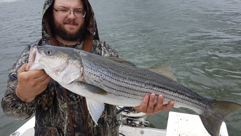 Eastcoastangler East Coast Angler Striped Bass Striper NB Saint John Canada Cruise Reversing Falls Saint John River Kennebecasis Bay of Fundy Sturgeon Bass Atlantic Canada Maritimes Fishing Charter Guide Charter Boat