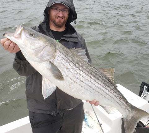 Eastcoastangler East Coast Angler Striped Bass Striper NB Saint John Canada Cruise Reversing Falls Saint John River Kennebecasis Bay of Fundy Sturgeon Bass Atlantic Canada Maritimes Fishing Charter Guide Charter Boat