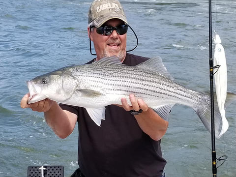 Eastcoastangler East Coast Angler Striped Bass Striper NB Saint John Canada Cruise Reversing Falls Saint John River Kennebecasis Bay of Fundy Sturgeon Bass Atlantic Canada Maritimes Fishing Charter Guide Charter Boat