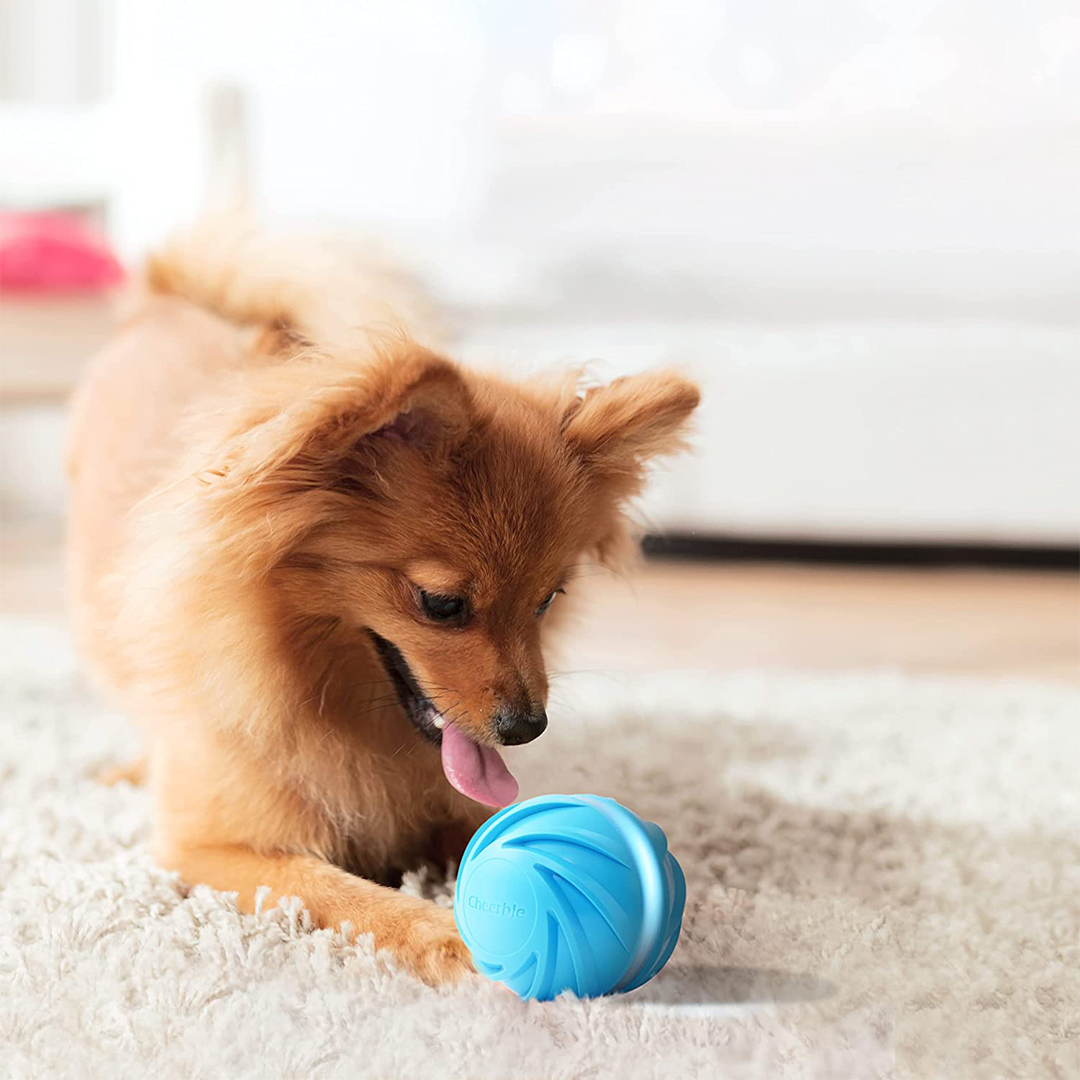 Cheerble's Wicked Ball is a smart toy that likes to play games with your dog