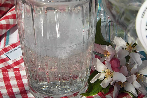 Drinking in Summer, elderflower sparkling on Chez Maison Mini-Napkins