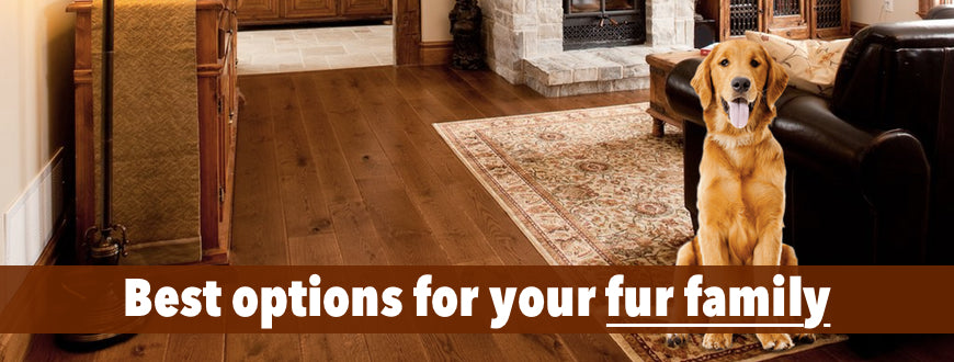 Choosing The Best Hardwood Floors For Dogs 3 Factors You Must