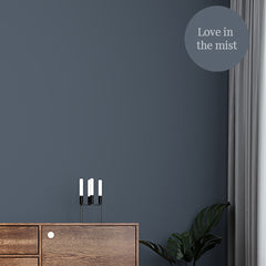 Love in the Mist Eco Paint Room Image