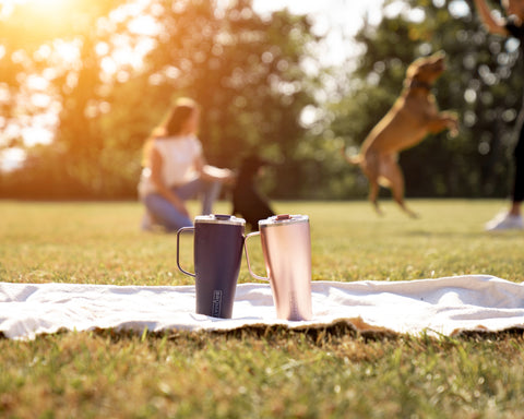 drink tumblers sitting on picnic blanket. 