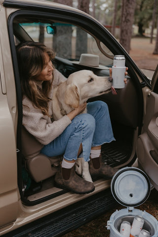 dog licking a beer can in a truck.