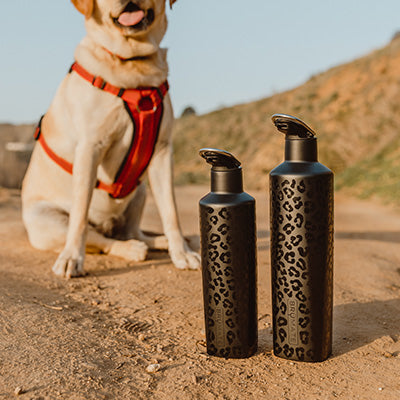 5 Reasons to Opt for Reusable Water Bottles – Project Clean Water