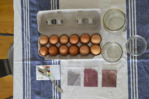 Eco-Kids Natural Egg Dyeing Kit