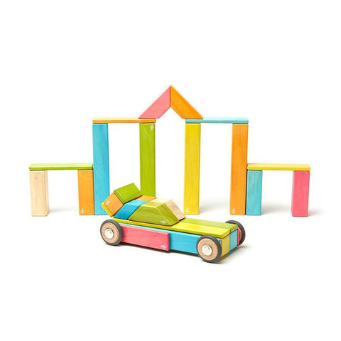 Tegu Magnetic Blocks 42 piece