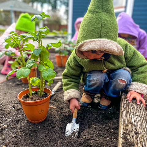 Young child crouching in garden in a green wool jacket with pointed gnome style hood, digging in the dirt with a child sized shovel as part of outdoor playtime during a waldorf school day