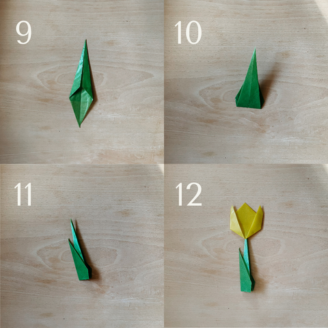 Steps 9-12 in insturctions to make a tulip out of waldorf window star paper