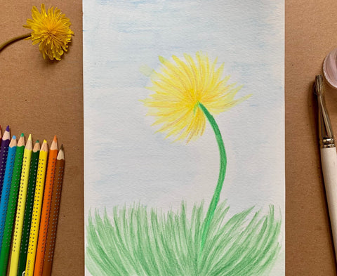 Dandelion Drawing