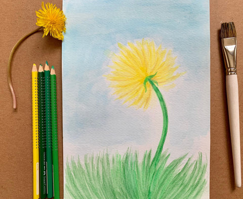 Dandelion Drawing - Final