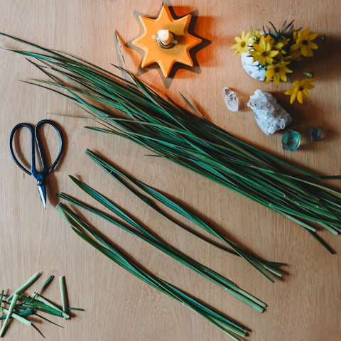 A bunch of grass lays bundled on a table. There are three separated sections cut to be the same length 