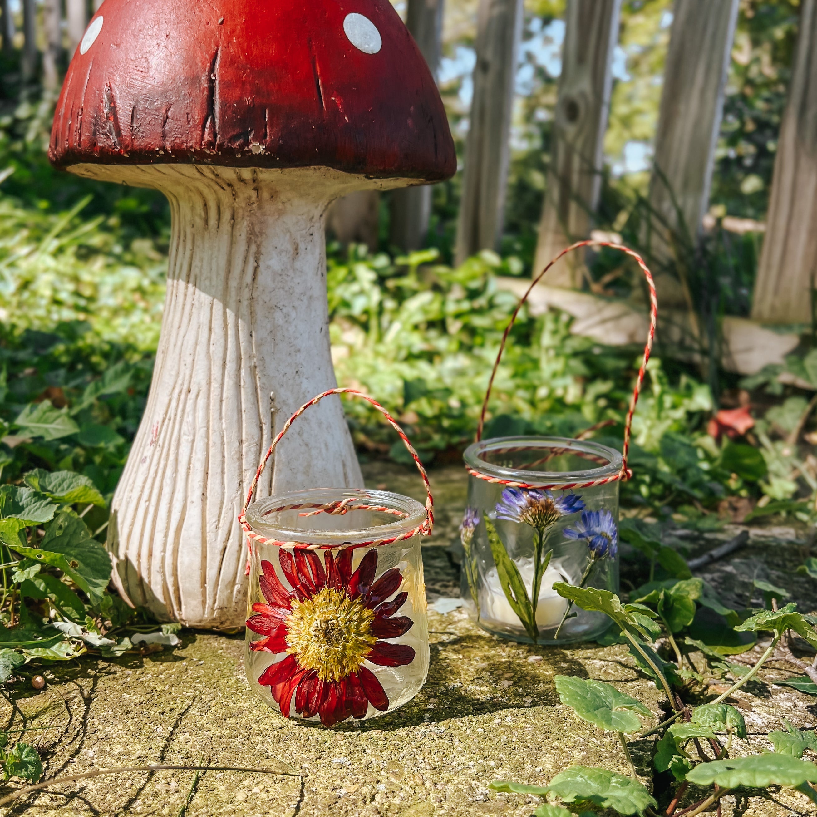 A pressed flower lantern sits outside next to a mushroom.
