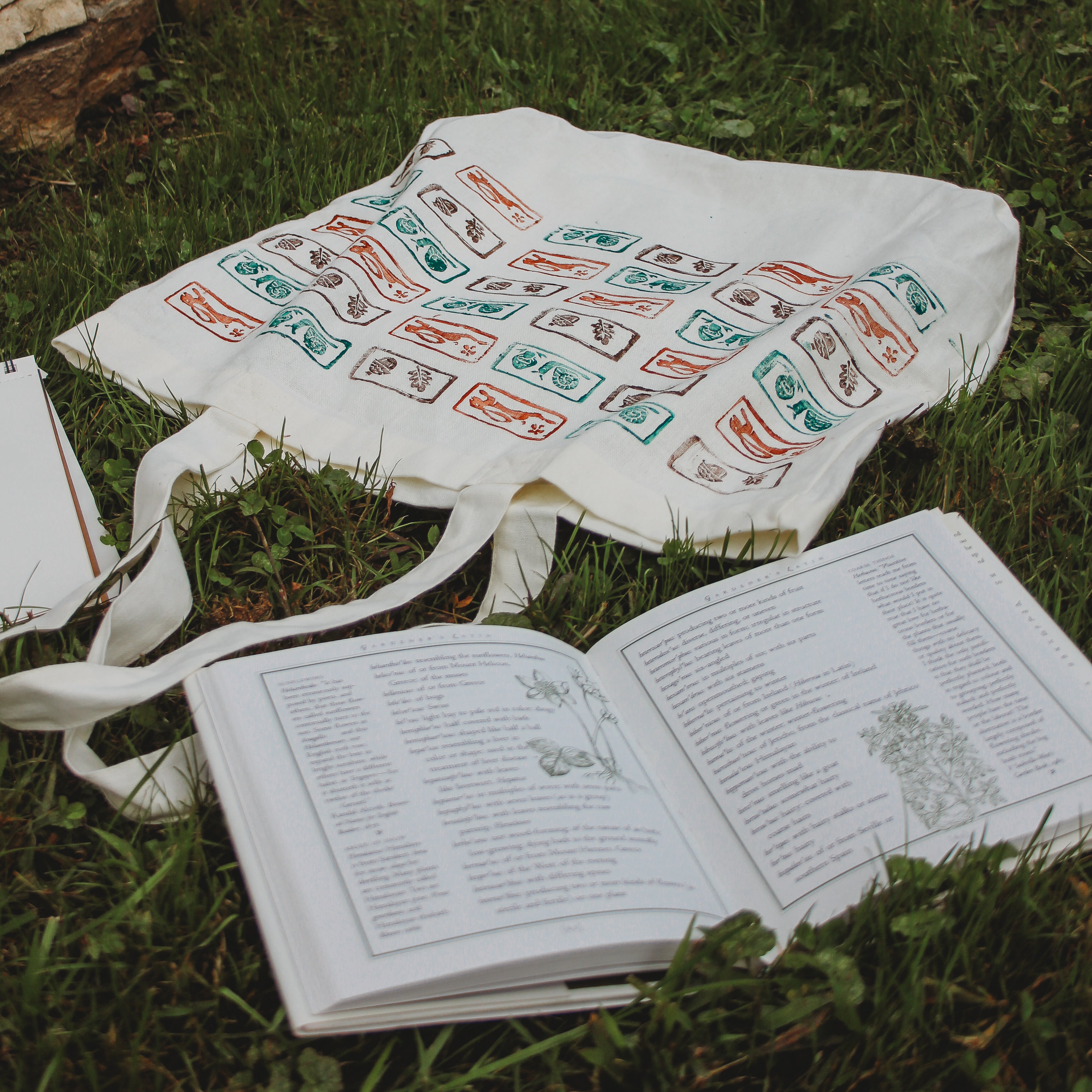 A printed treat bag sits on the grass next to an open book.