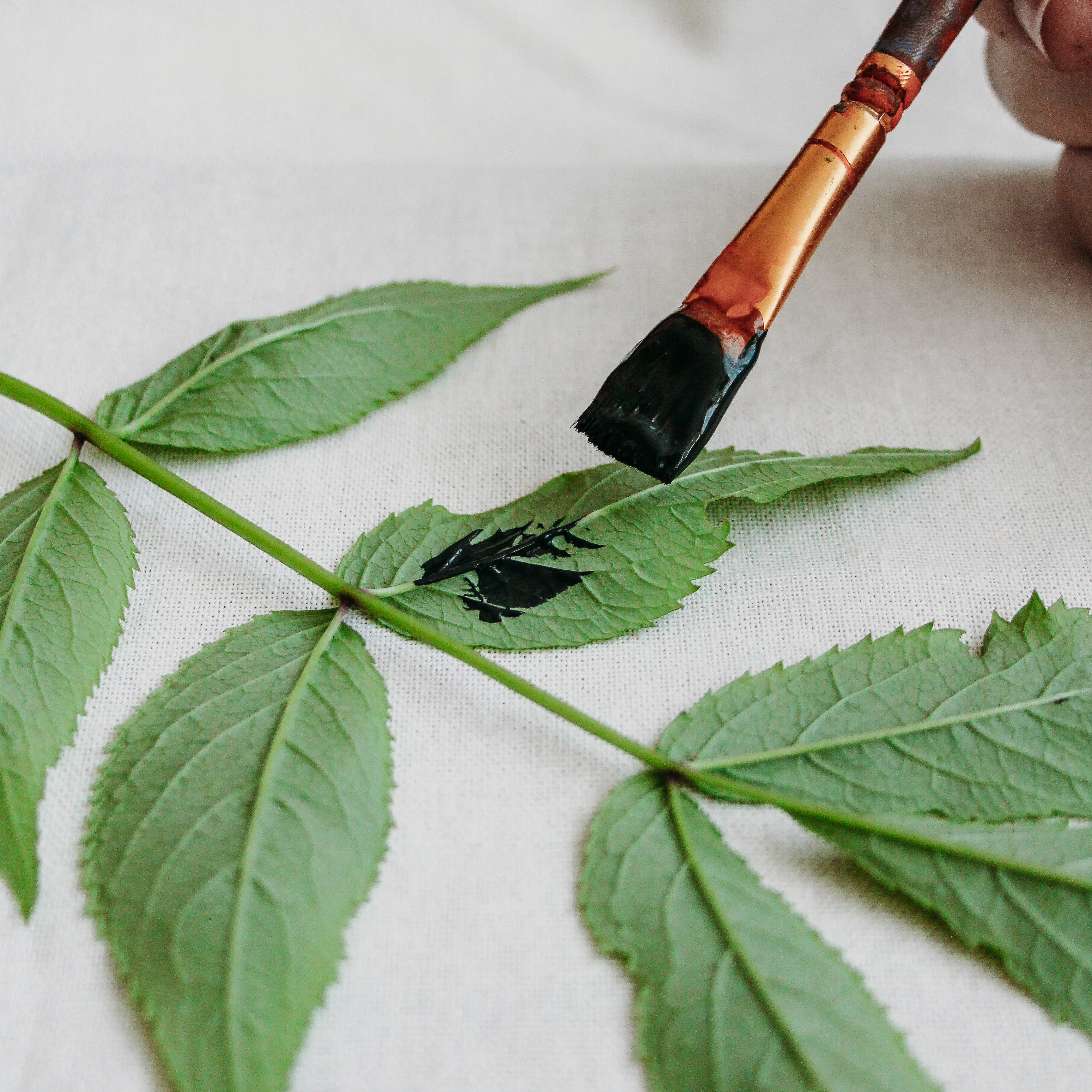 A paintbrush is painting a green leaf.