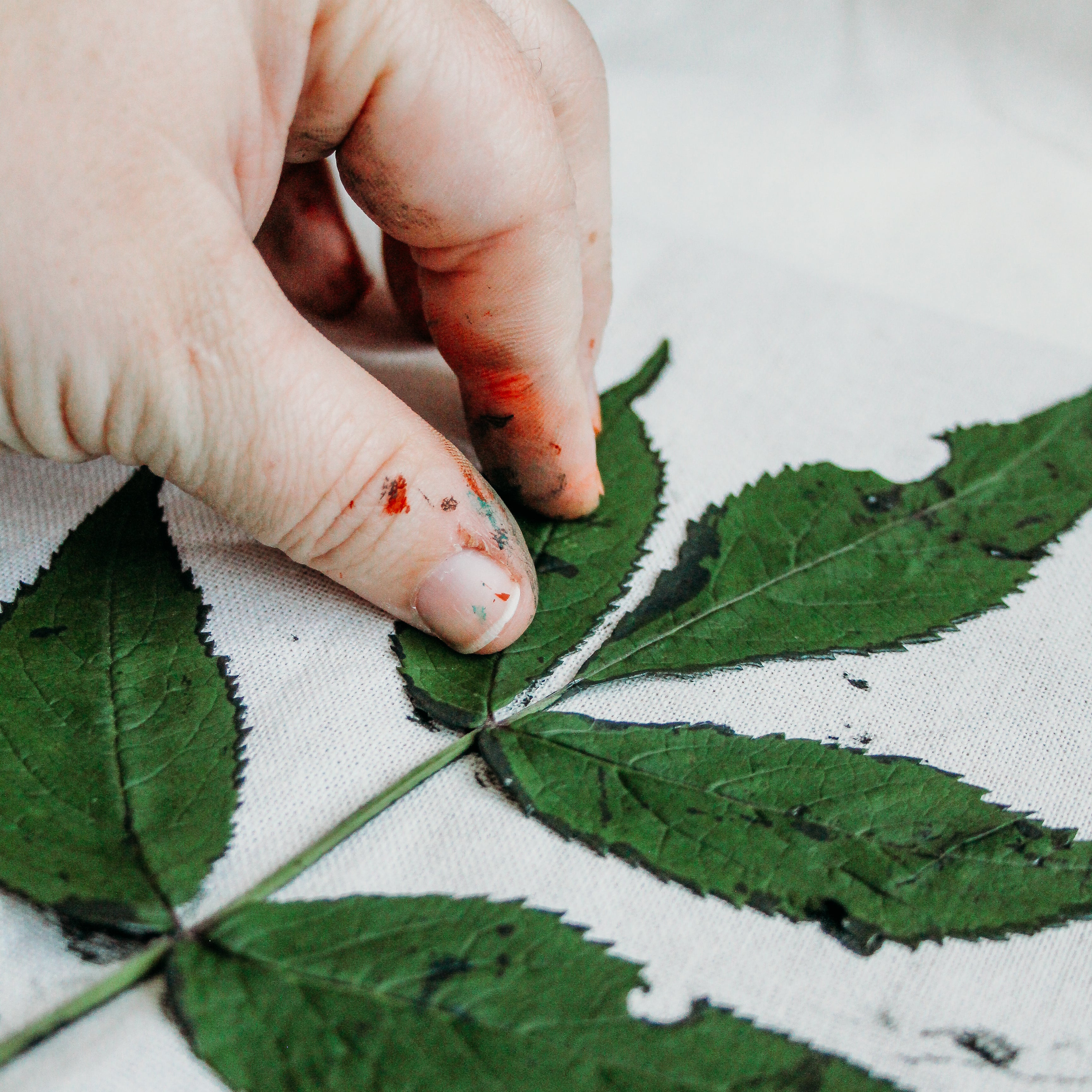 A hand presses firmly down on a leaf on a canvas bag.