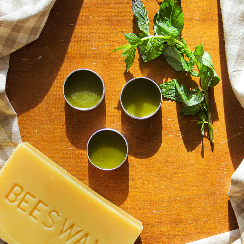 Beeswax lip balm sits on a table with beeswax and mint.