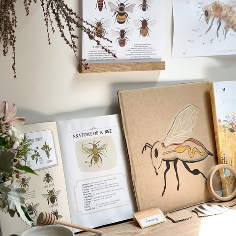 A honeybee homeschool unit with books and art projects