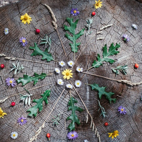 Mandala made out of nature finds like flowers, leaves, berries and branches