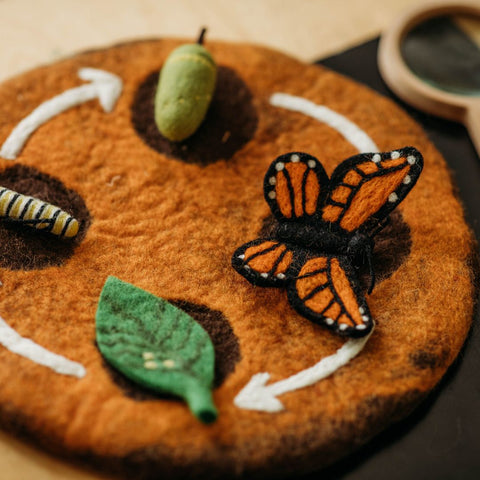 Tara Treasures Lifecycle Play Mat Monarch Butterfly