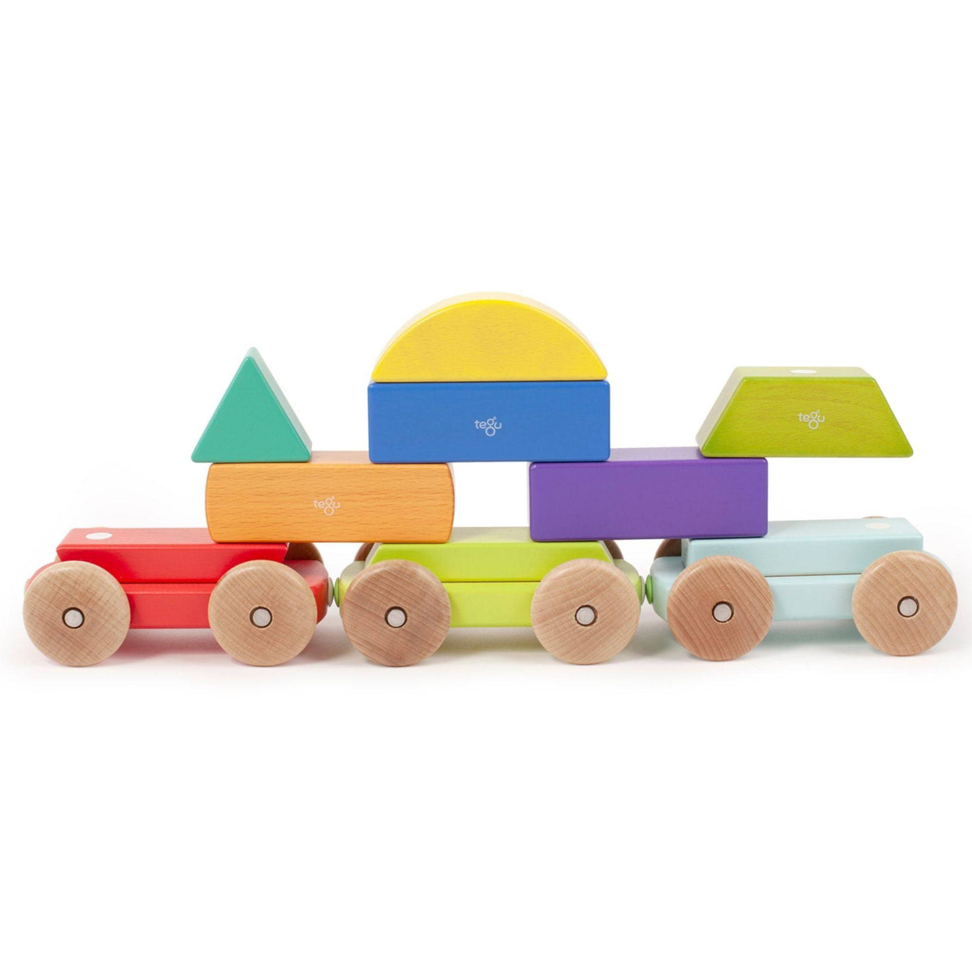 tegu magnetic shape train