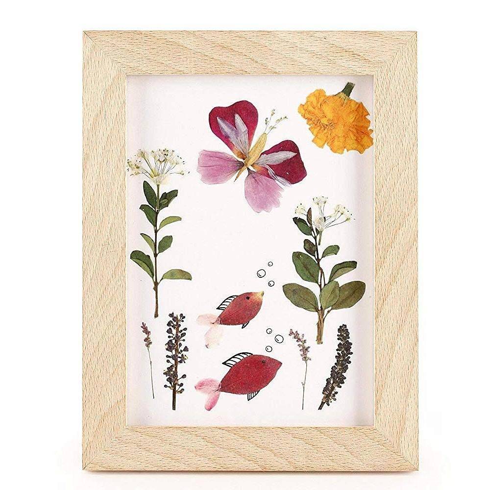 Kikkerland Huckleberry Pressed Flower Wooden Frame - Bella Luna Toys
