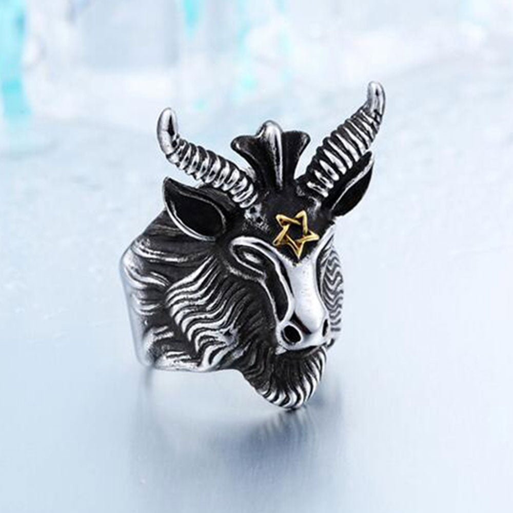 • Animal Themes: Animal theme rings come in the design of all forms of animals including tiger, cheetah, lion, kitten, or Phoenix. The significance of its symbolism is varying. The tiger biker ring symbolizes the strength and power of the biker while the cheetah represents his speed and agility. The phoenix symbol is representational of mysterious mortals that complement the rings with elegance and charm.