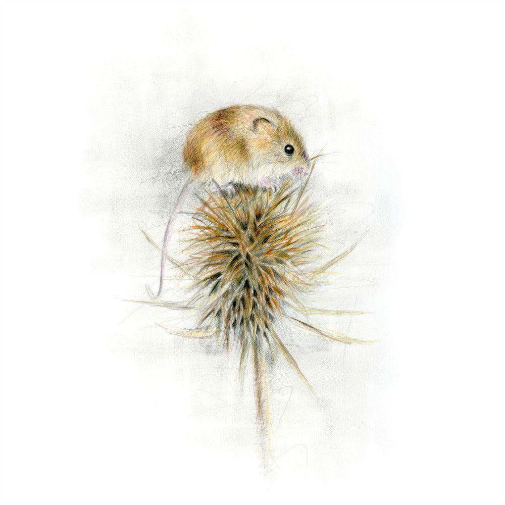 David Pooley Art Harvest Mouse A3 Print – Burton Blake