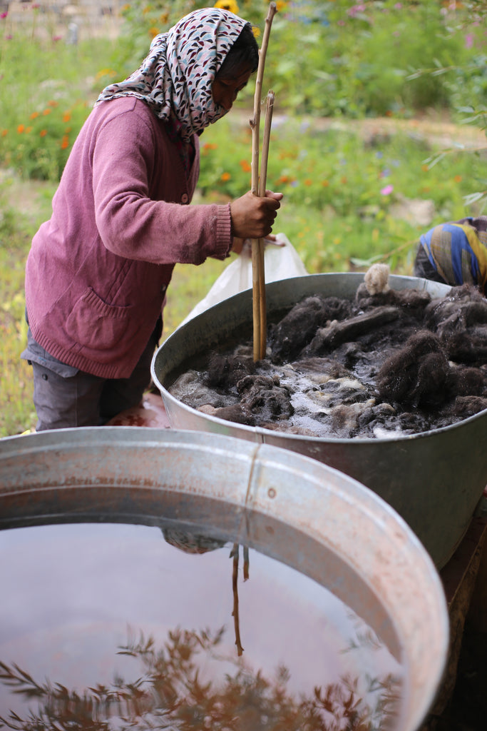 Washing Wool in Ladakh