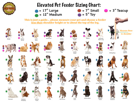 what size elevated dog feeder should i get