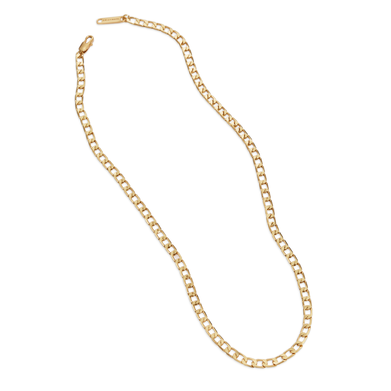 Download The Walter curb chain necklace in Gold | JENNY BIRD Canada