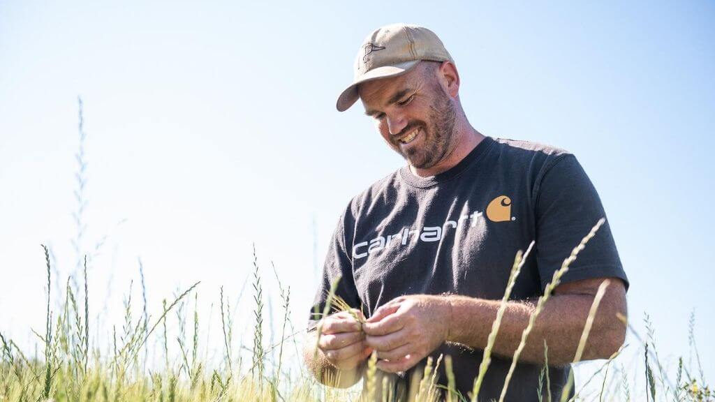 grains-non-gmo-lentelus