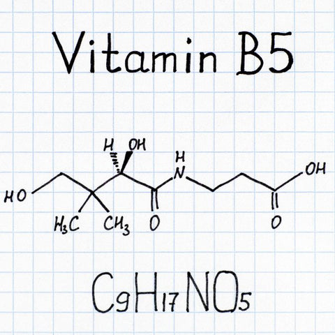 パッチロジー ビタミン B5 とスキンケアについて詳しく学ぶ