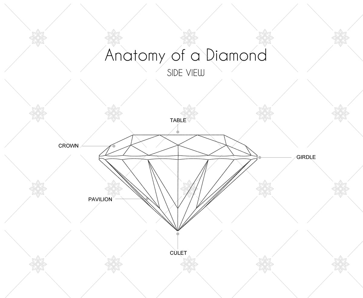 Diamond Anatomy illustration