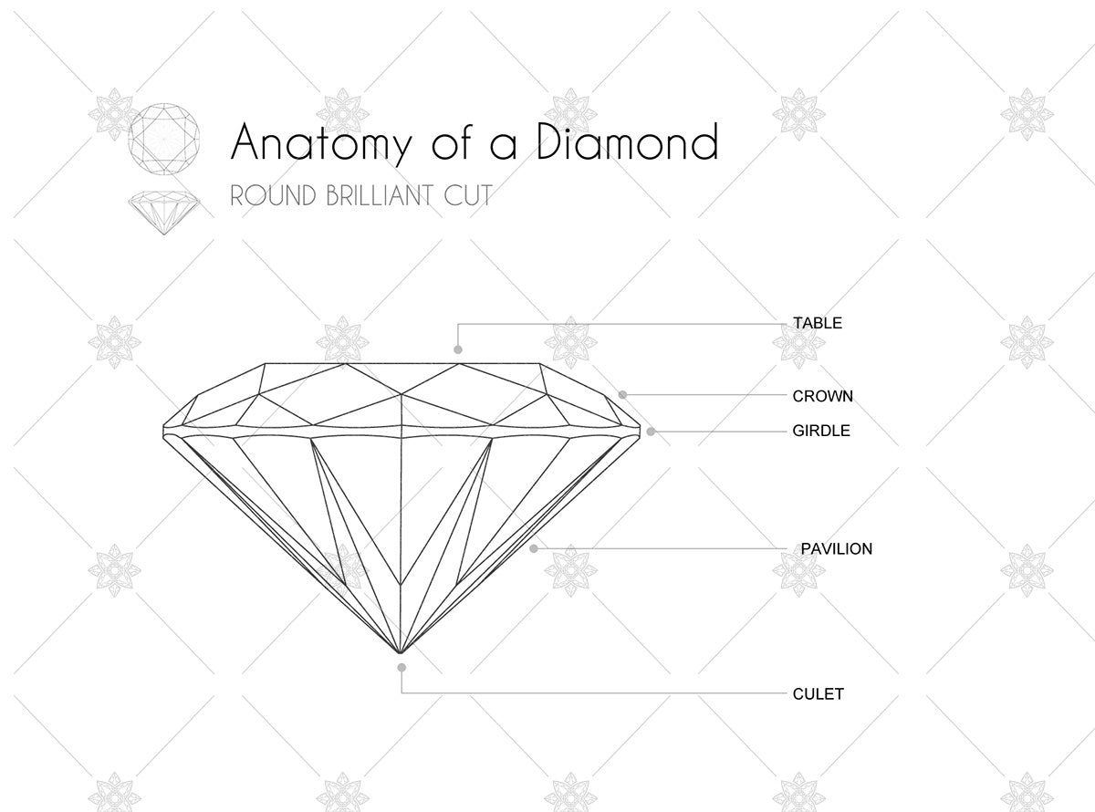 diamond outline and anatomy side view