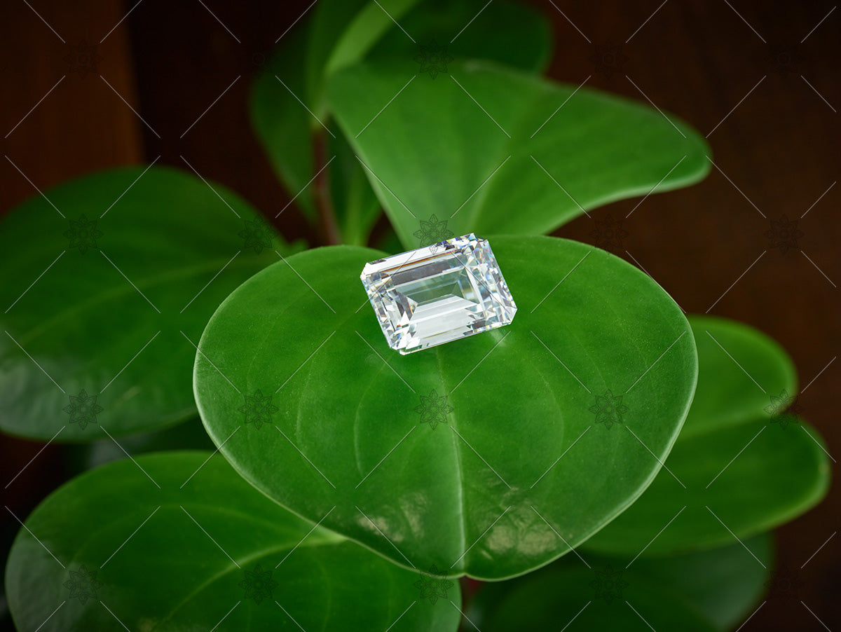 Ethical Emerald-cut diamond on green leaf.